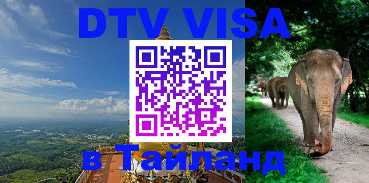 Оформление DTV визы под ключ: стоимость и тарифы, только загранпаспорт - 18.11.2025 